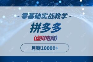 （14880期）拼多多虚拟电商，零基础实战教学，快速打爆商品，新手也能月入10000+