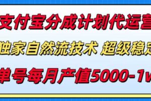 （15592期）支付宝分成计划代运营，最新自然流技术，收益稳定，单号月产5000＋！