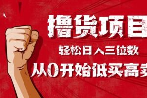 （16315期）手把手教你撸货，从0开始低买高卖，小白轻松实现日入三位数!!!