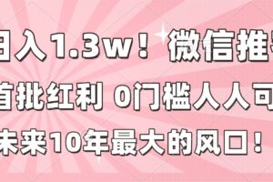(16969期)日入1.3w!微信推客,首批红利,未来10年最大的风口,0门槛,人人可做!