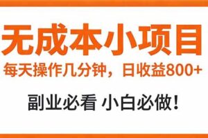 (17307期)无成本小项目 每天操作几分钟,真实日收益800+ 副业必看 小白必做!