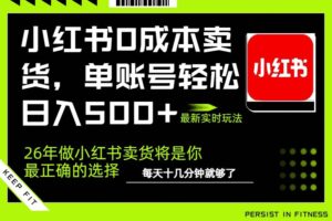(17462期)小红书0成本AI卖货,单账号轻松日入500+,完全托管AI,可矩阵放大